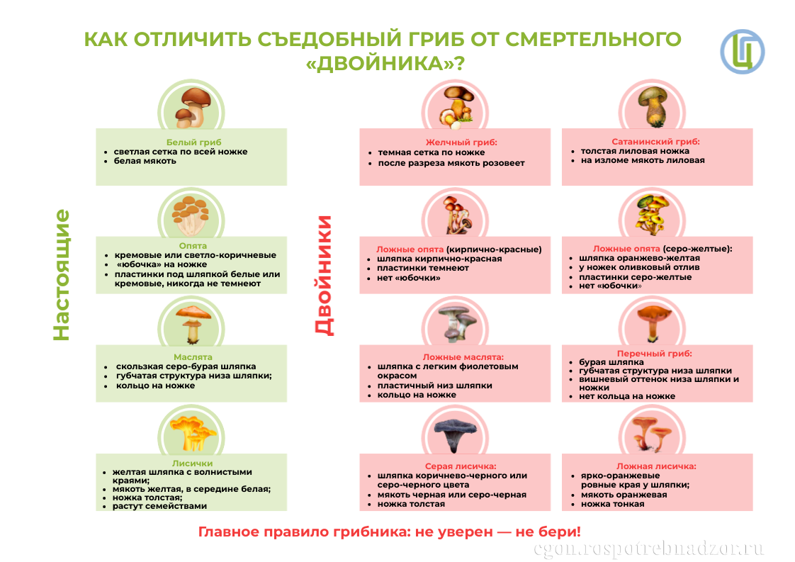 Меры предосторожности при употреблении грибов.