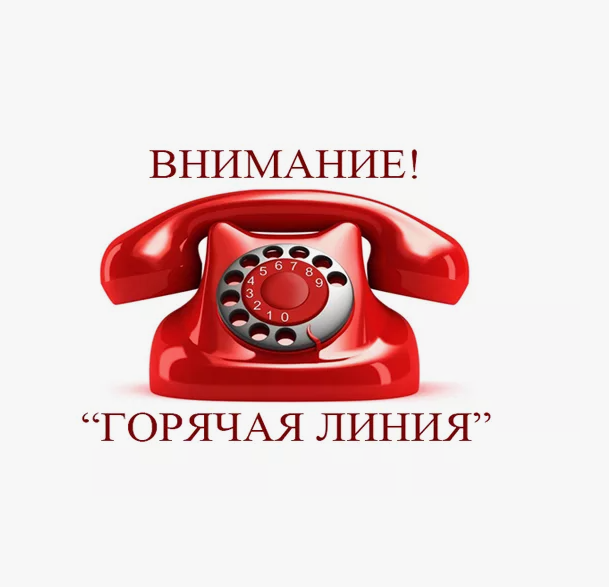 Горячая линия.