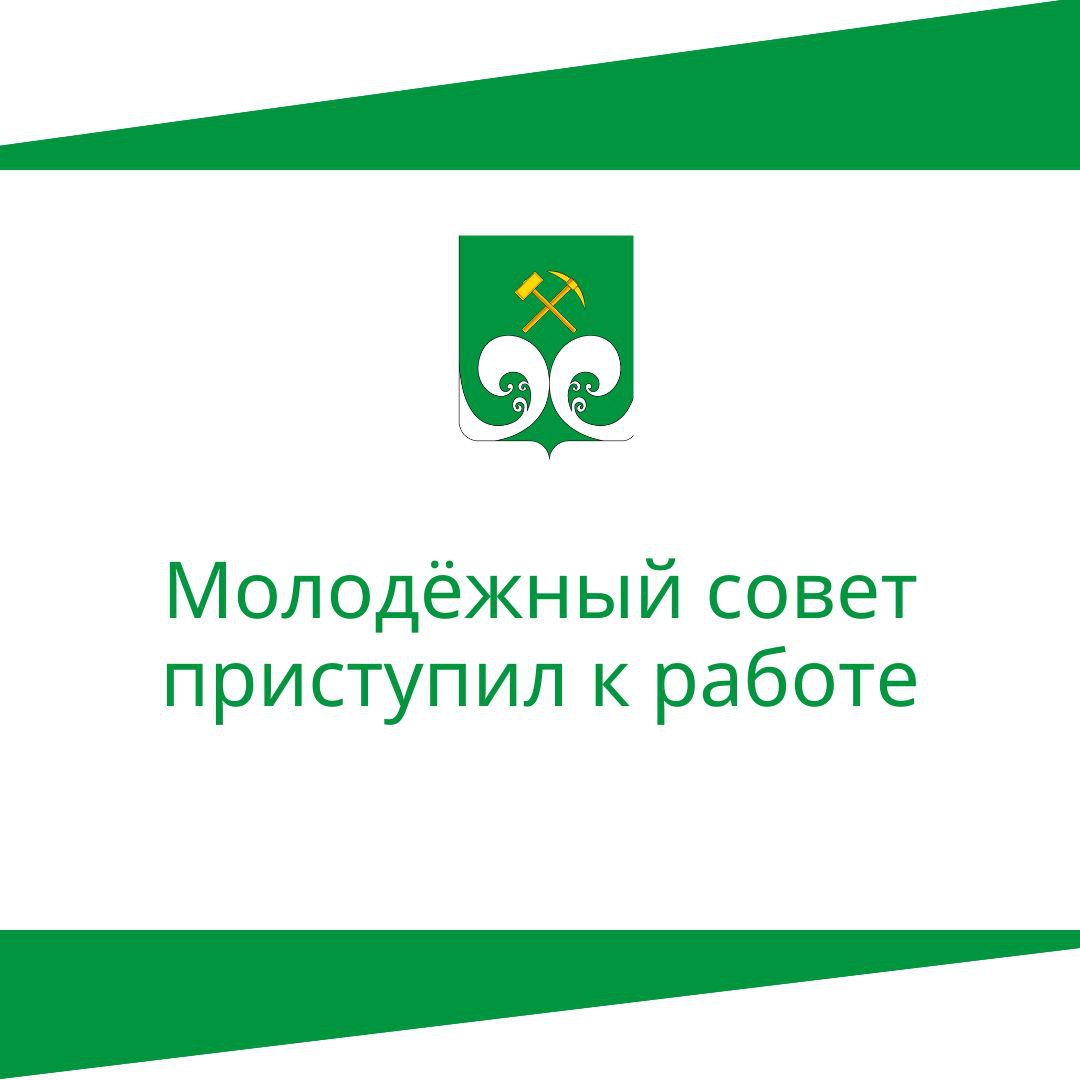 Молодёжный совет приступил к работе   .