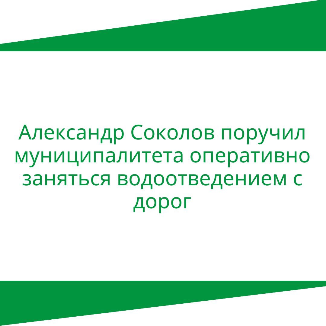 Александр Соколов поручил муниципалитетам оперативно заняться водоотведением с дорог.