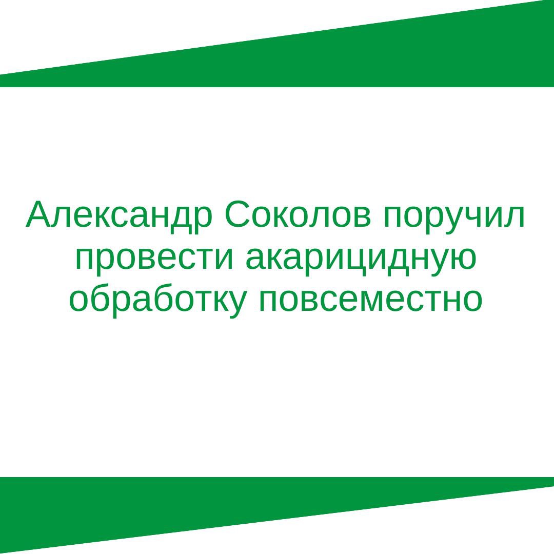 Александр Соколов поручил провести акарицидную обработку повсеместно.