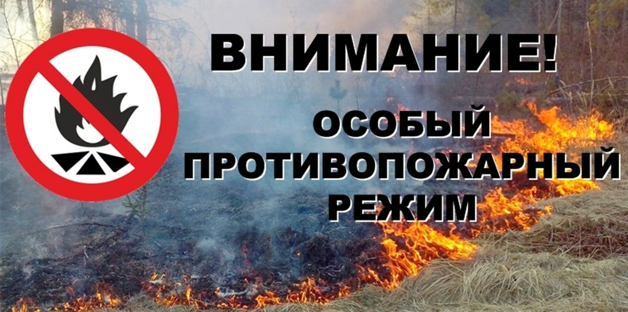 В лесах Кировской области установлен особый противопожарный режим..