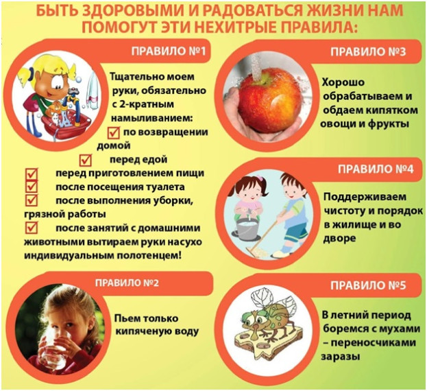 Всемирный день яйца – 11 октября 2024 года. Всемирный день яйца – 11 октября 2024 года.