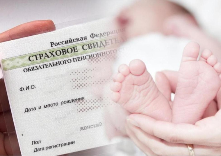 Отделение СФР по Кировской области проактивно оформило более 6 тысяч СНИЛС новорожденным. Отделение СФР по Кировской области проактивно оформило более 6 тысяч СНИЛС новорожденным.