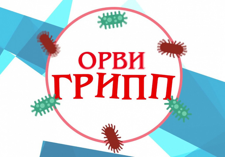 Профилактика гриппа и ОРВИ. Профилактика гриппа и ОРВИ.