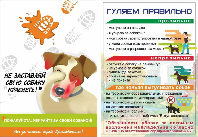 Выгул собак осуществляйте только в специально отведенных местах. Выгул собак осуществляйте только в специально отведенных местах.