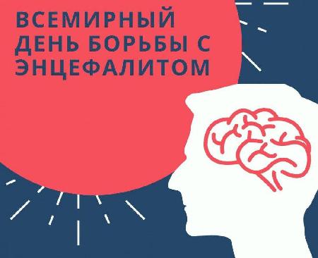 Всемирный день борьбы с энцефалитом. Всемирный день борьбы с энцефалитом.