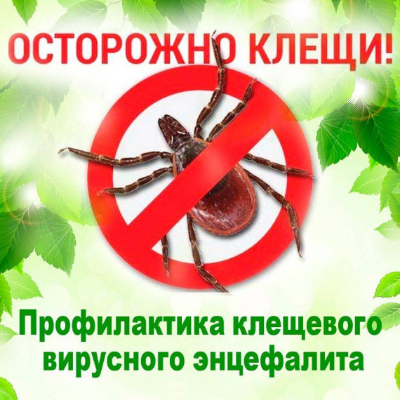 Профилактика клещевого энцефалита. Профилактика клещевого энцефалита.