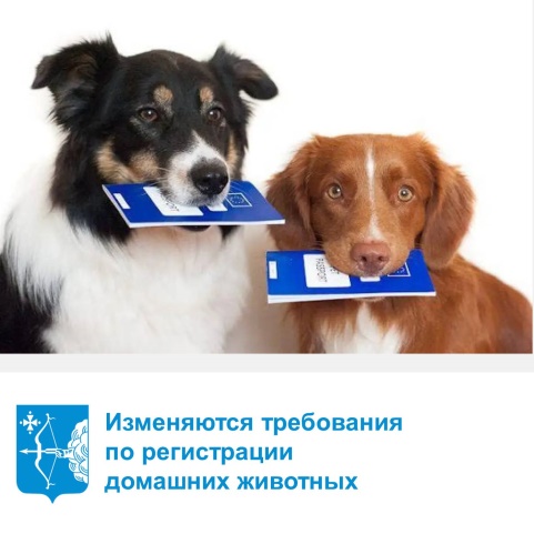 Изменяются требования по регистрации домашних животных. Изменяются требования по регистрации домашних животных.
