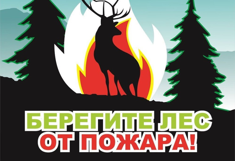 В районах области пройдут противопожарные рейды. В районах области пройдут противопожарные рейды.