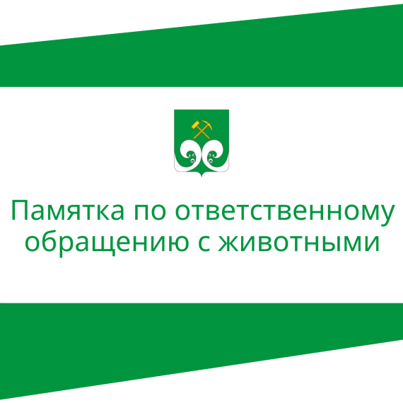 Памятка по ответственному обращению с животными. Памятка по ответственному обращению с животными.