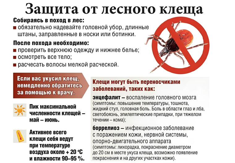 Защита от лесного клеща. Защита от лесного клеща.